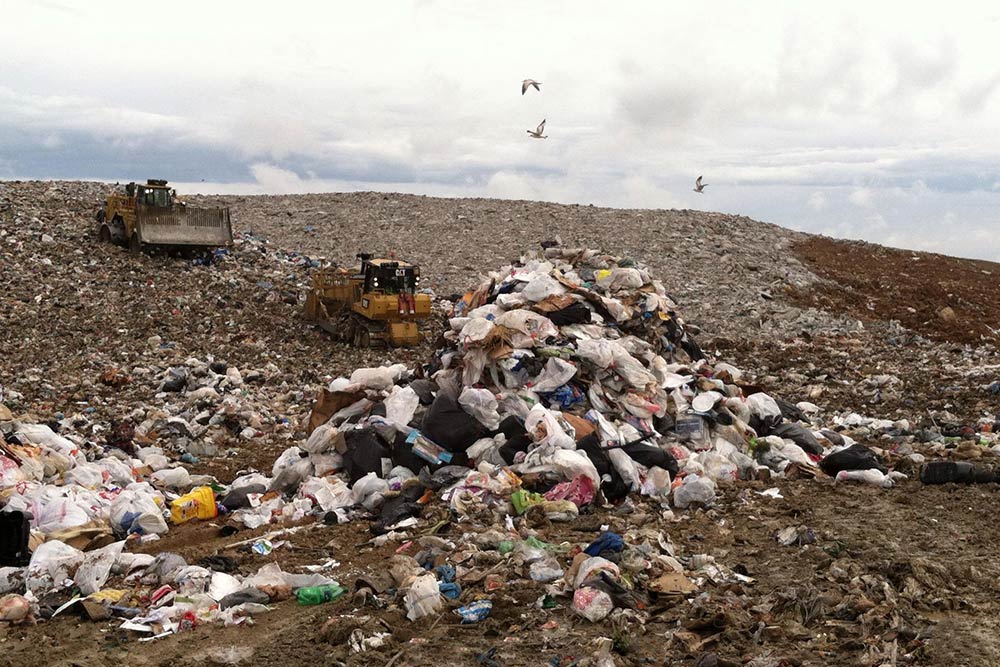South Wake Landfill with bulldozers and seagulls
