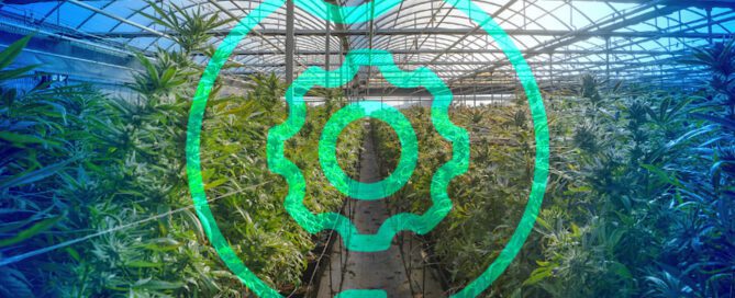 Cloud-based cannabis odor contrl